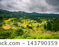 The terraced rice fields of Hoshitoge, nearing harvest time [Tokamachi City] 143790359