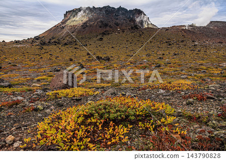 火山口平原上覆蓋著泛著黃色的秋葉，支笏洞爺國立公園的樽前山熔岩穹丘噴發出蒸氣。 143790828