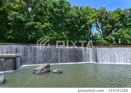 石川第四高中紀念公園的春天 143791289