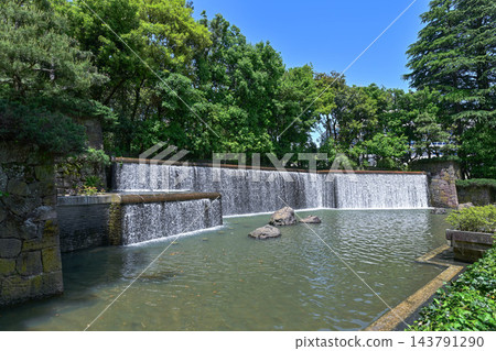 石川第四高中紀念公園的春天 石川第四高中紀念公園的春天 143791290