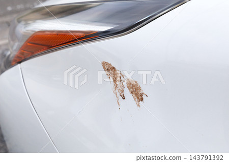 白色車上的污垢 白色車上的污垢 143791392