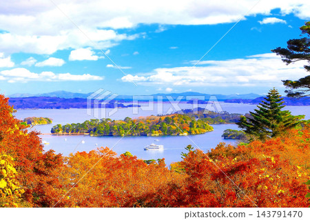 從西行綠松公園眺望松島灣的秋葉美景。 143791470