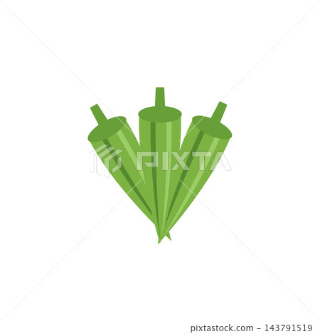 Flat green okra pods vector illustration isolated on white 143791519