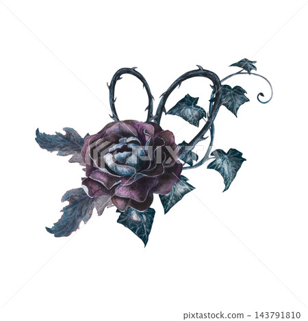 Gothic bouquet with dark roses, ivy and thorns hand drawn watercolor illustration. Mystical element for victorian tarot card decks, grimoire covers, witch craft decor, poison garden, fantasy art. 143791810