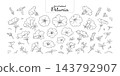 Set of Petunia flowers, in black outline and white plain, isolated on a transparent background, hand-drawn botanical illustration. 143792907