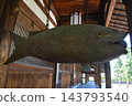 Fish pole, open pole, fish plate (Obaku Sect Daihonzan, Manpukuji Temple/34 Gogasho Sanbanwari, Uji City, Kyoto Prefecture) 143793540
