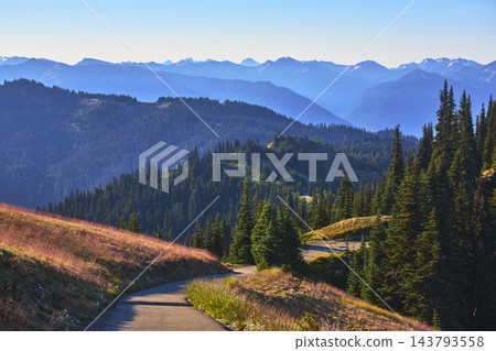Mountain Trail and Evergreen Forests with Distant Peaks in Morning Light Mountain Trail and Evergreen Forests with Distant Peaks in Morning Light 143793558