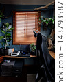 A study room with records 143793587