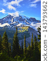 Mount Rainier Sunrise Region Snow Capped Peak and Evergreen Forest in Washington 143793662