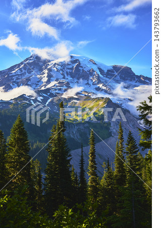 Mount Rainier Sunrise Region Snow Capped Peak and Evergreen Forest in Washington Mount Rainier Sunrise Region Snow Capped Peak and Evergreen Forest in Washington 143793662