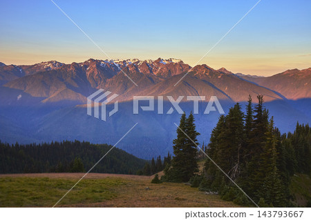 Golden Hour Light Over Mountain Range Forest and Meadow in Scenic Wilderness 143793667
