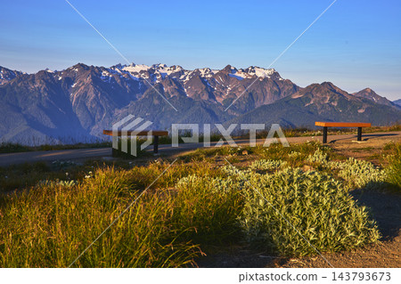 Benches and Wildflowers on Hurricane Ridge Trail with Olympic Mountains at Golden Hour Benches and Wildflowers on Hurricane Ridge Trail with Olympic Mountains at Golden Hour 143793673