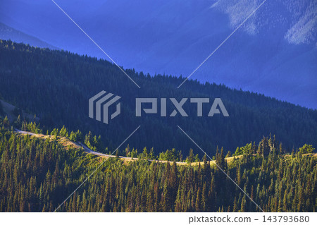 Mountain Trail Winding Through Dense Evergreen Forest At Sunset Mountain Trail Winding Through Dense Evergreen Forest At Sunset 143793680