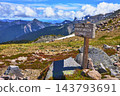 Mount Rainier Sunrise Region Sign Alpine Meadow Trail and Snowy Peaks 143793691