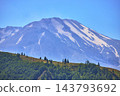 Mt St Helens Snow Capped Volcanic Peak and Evergreen Forest in Summer Washington 143793692