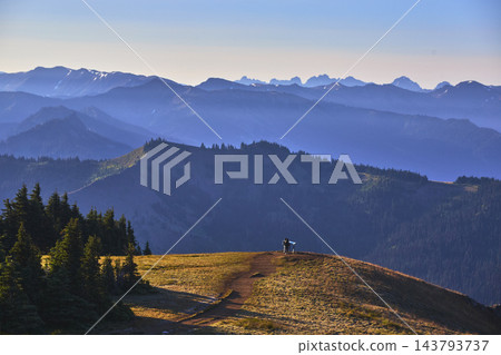 Hikers on Sunrise Ridge with Majestic Mountain Layers and Forest in Olympic National Park Hikers on Sunrise Ridge with Majestic Mountain Layers and Forest in Olympic National Park 143793737