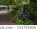 Hall of Mosses Trail Sign Surrounded by Lush Greenery in Olympic National Park 143793800