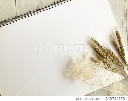一本空白的素描本和幾朵乾燥花——一個充滿秋日氣息的植物世界。 143794653
