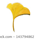 Ginkgo leaves, yellow and orange autumn leaves, crayon-style illustration. 143794862