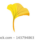 Ginkgo leaves, yellow and orange autumn leaves, crayon-style illustration 143794863