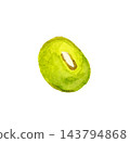 Mung beans (single item) - Hand-drawn watercolor illustration material 143794868