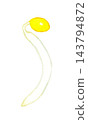 Bean sprouts (single item) - Hand-drawn watercolor illustration material 143794872