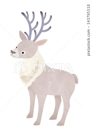 馴鹿的插圖 馴鹿的插圖 143795318