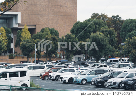 老櫻花樹被砍伐,形成一條開放的步道和八王子市政府的停車場。 老櫻花樹被砍伐,形成一條開放的步道和八王子市政府的停車場。 143795724
