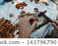 man cracking an almond with a hammer from above 143796790
