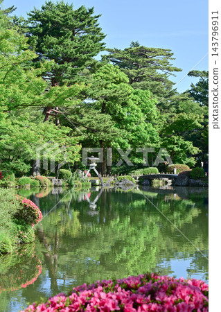 杜鵑花盛開的美麗清新綠色兼六園 杜鵑花盛開的美麗清新綠色兼六園 143796911