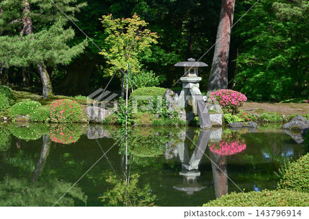 杜鵑花盛開的美麗清新綠色兼六園 杜鵑花盛開的美麗清新綠色兼六園 143796914