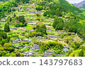 【傳統建築群重要保護區】落合，東祖屋山村：初夏景色，從中頭地區展望台7眺望，德島縣三好市 143797683