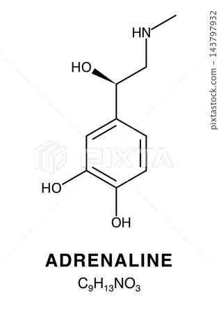 Skeletal chemical formula of Adrenaline, molecular structure. Skeletal chemical formula of Adrenaline, molecular structure. 143797932