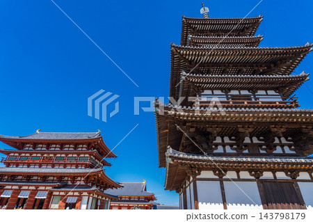 奈良縣奈良市藥師寺東塔及本殿 奈良縣奈良市藥師寺東塔及本殿 143798179