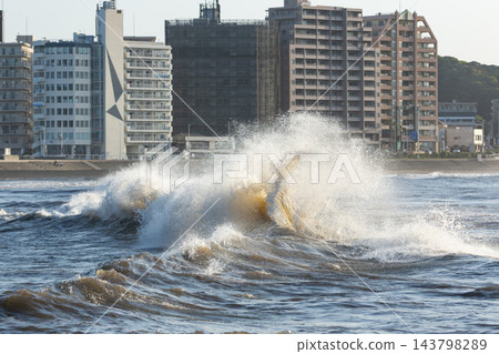 片瀨東濱和片瀨西濱海灘的海浪在湘南江之島交匯。 143798289
