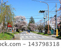 Famous cherry blossom viewing spot: Nikko Kaido Cherry Blossom Avenue / Utsunomiya City, Tochigi Prefecture 143798318