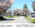 Famous cherry blossom viewing spot: Nikko Kaido Cherry Blossom Avenue / Utsunomiya City, Tochigi Prefecture 143798319