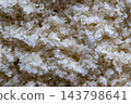 用於味噌製作中製作米麴的米 143798641