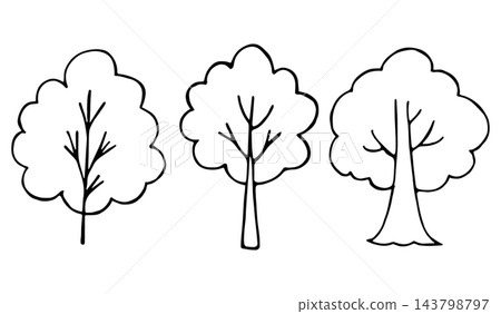 Hand Drawn Doodle Set of Three Deciduous Trees Outline Illustration, Forest and Garden Nature Icons Isolated Hand Drawn Doodle Set of Three Deciduous Trees Outline Illustration, Forest and Garden Nature Icons Isolated 143798797
