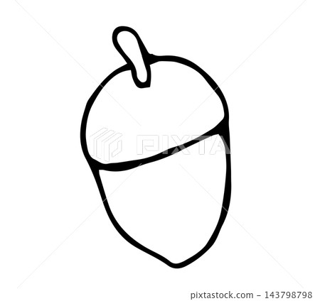Hand Drawn Doodle Acorn with Cap Outline Illustration, Autumn Oak Nut Forest Icon Isolated on White 143798798
