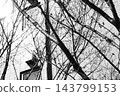 Winter dead 143799153