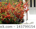A house with red flowers 143799154