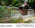 小石川後樂園，一個大名花園：唐門和紫薇樹，東京。 143799252