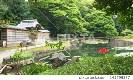 大名花園:東京小石川後樂園(內花園和唐門) 大名花園:東京小石川後樂園(內花園和唐門) 143799277