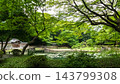 大名花園：東京小石川後樂園（內花園和唐門） 143799308