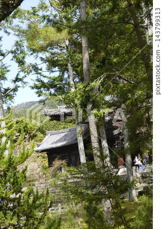 自然與建築 自然與建築 143799313