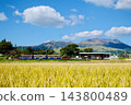 Autumn blue sky and rice field 143800489