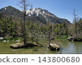 上高地毘澤濕地的清涼溪水 143800680
