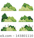 different trees in the garden 143801110