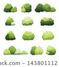 different types of trees isolated on white background 143801112